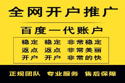 竞价SEM案例分享：行业霸主崛起之路